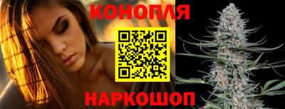 эйфоретик Аргун