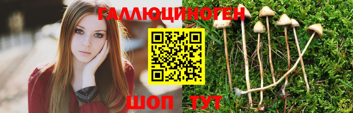 Псилоцибиновые грибы Cubensis Воронеж