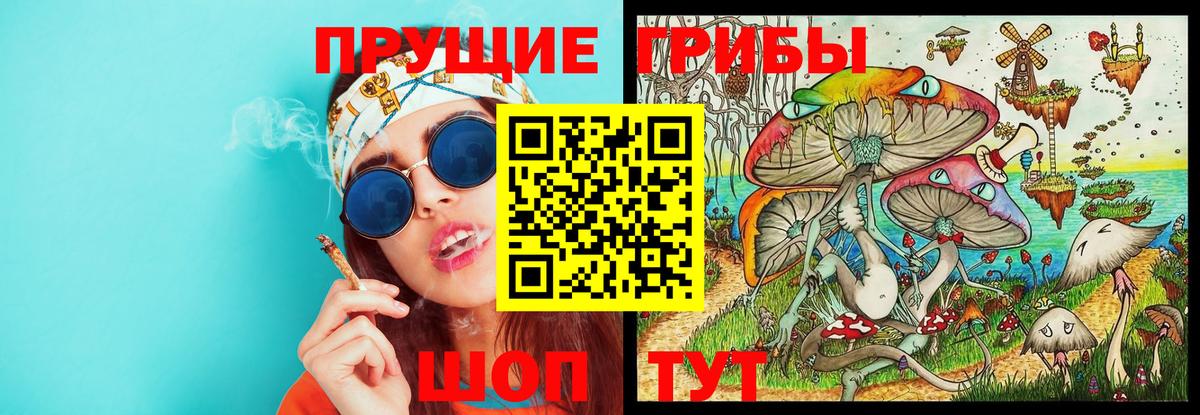 купить наркотики цена  Псилоцибиновые грибы MAGIC MUSHROOMS  Вход с VPN  Воронеж 